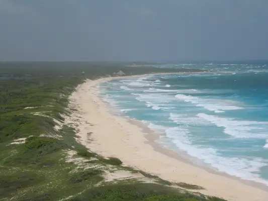 Cozumel